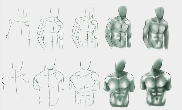 Уроки рисования мужского тела