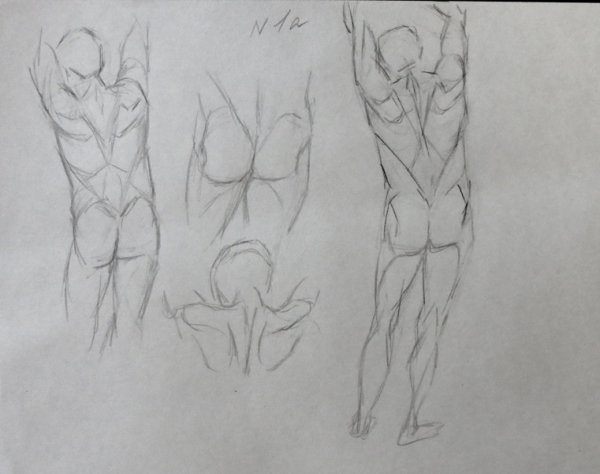 Торс этапы рисования