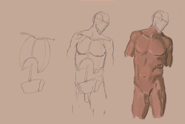 Анатомия человека для рисования