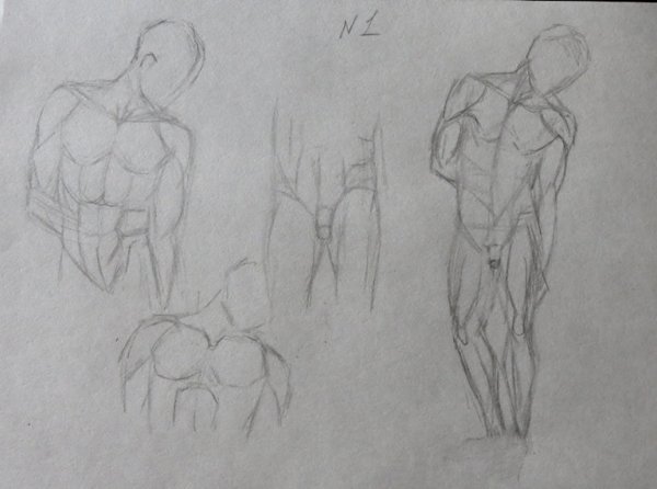 Мужской торс для рисования