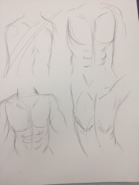 Схема рисования мужского торса