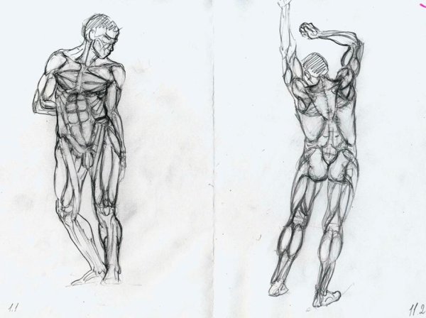 Накаченное тело для рисования