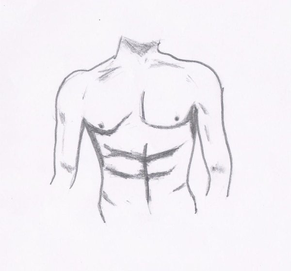 Уроки рисования мужского тела