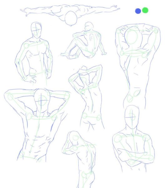 Уроки рисования мужского тела