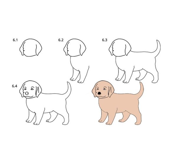 Поэтапное рисование щенка для детей