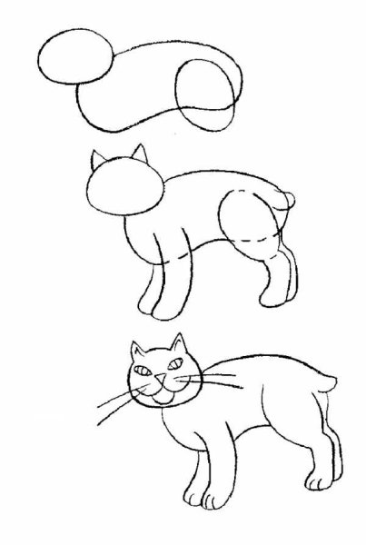 Рисунок кота для срисовки для детей