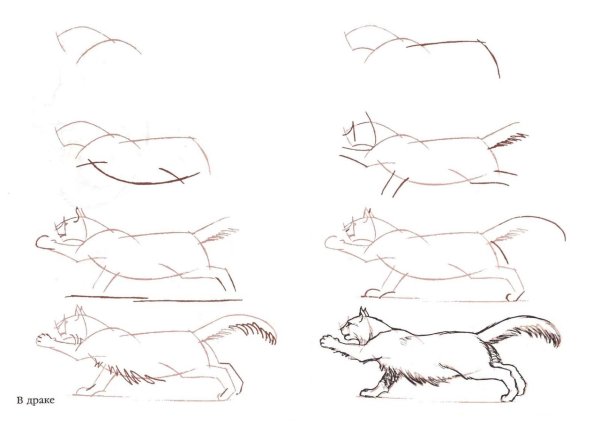 Поэтапное рисование лежачей кошки