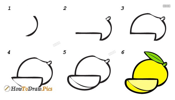 Пошаговый рисунок манго
