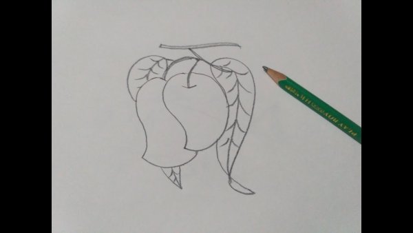 Красивые и лёгкие рисунки манго