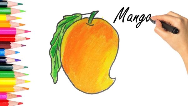 Нарисовать манго легко