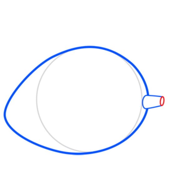 Манго поэтапно