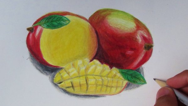 Манго цветными карандашами
