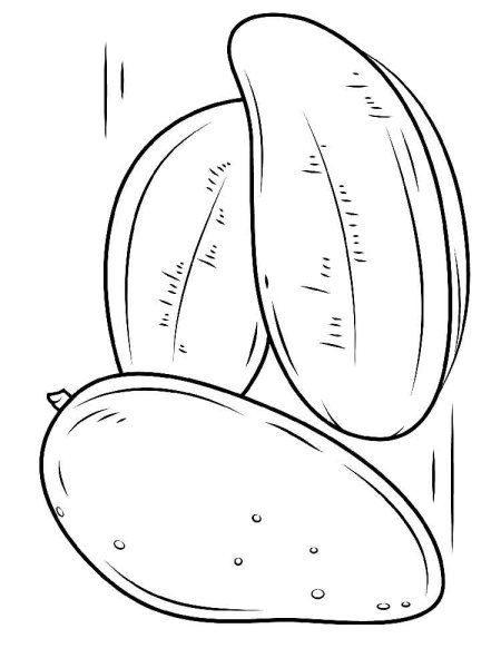 Манго рисунок карандашом