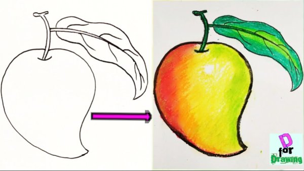 Раскраска манго