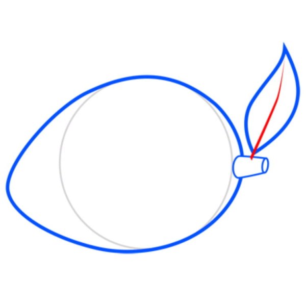 Манго гравюра