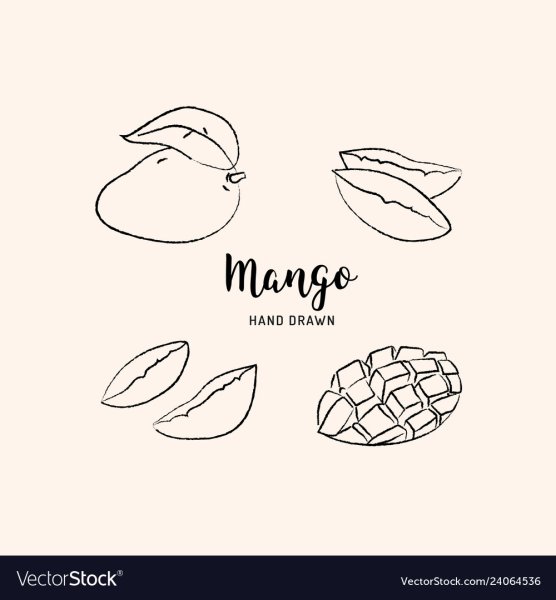 Манго акварель