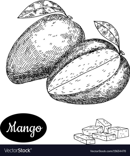 Яблоко Светотень