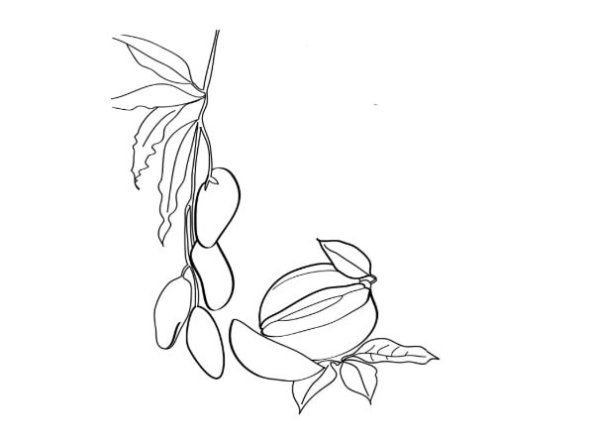 Рисунок манго фломастерами для ребенка 9 лет