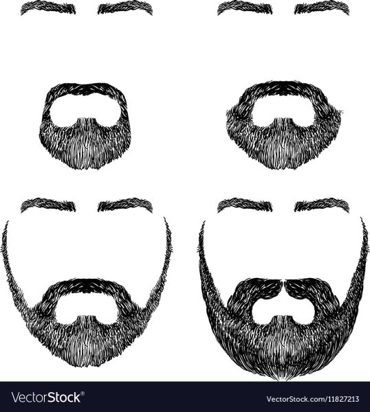 Контур бороды и усов