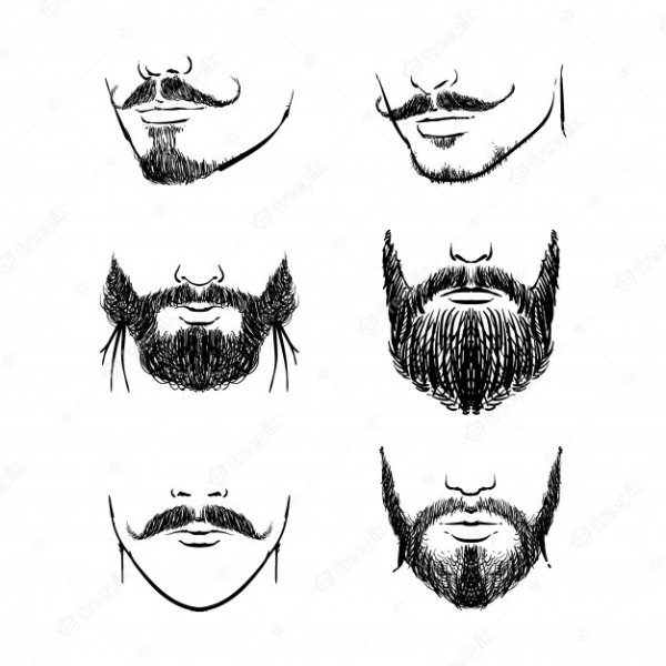 Борода эскиз