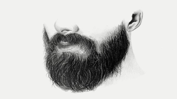 Борода рисунок