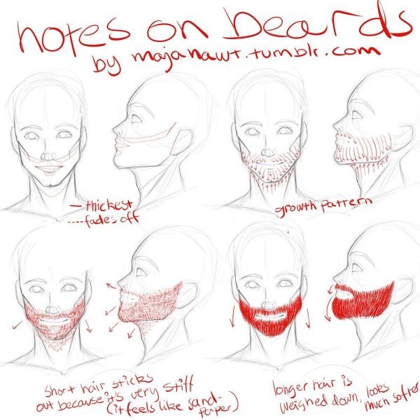 Борода референс