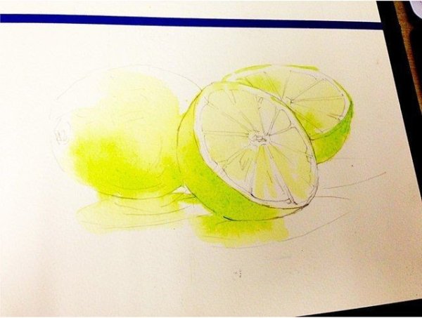 Поэтапные рисунки акварелью Лайма