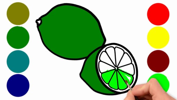 Лайм поэтапное рисование для детей