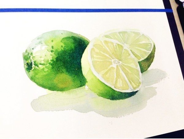 Рисунок Лайма акварель