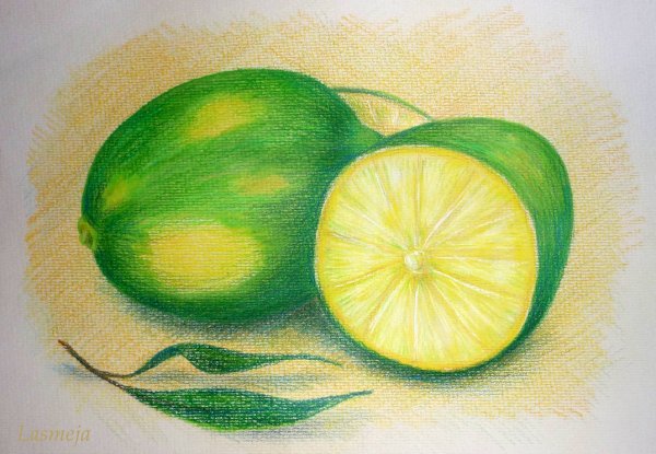 Лайм цветными карандашами