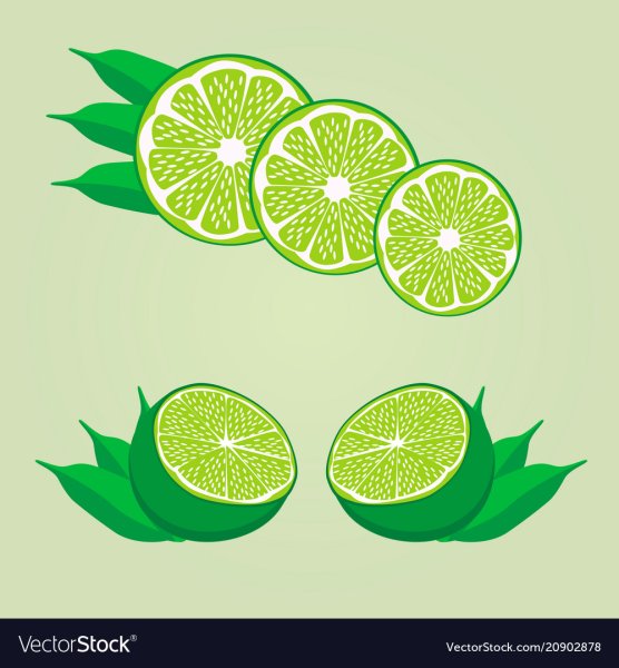 Нова трак вектор лайм