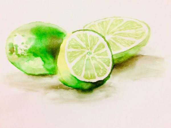 Рисунок Лайма акварель