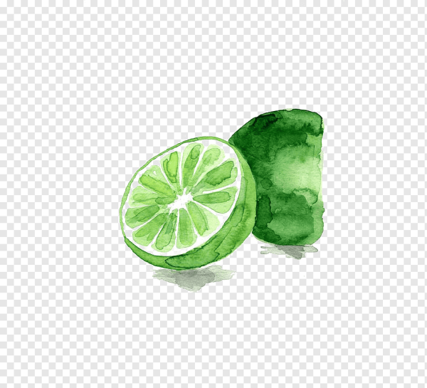 Лайм акварелью