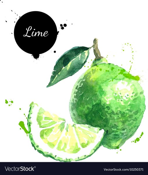 Лайм стилизация