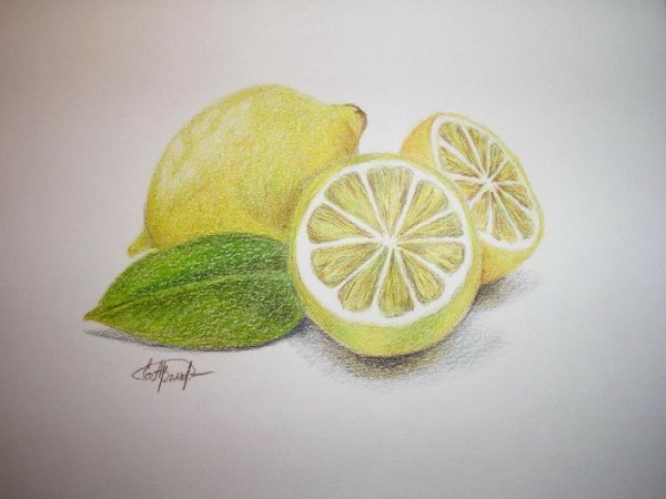 Лимон цветными карандашами