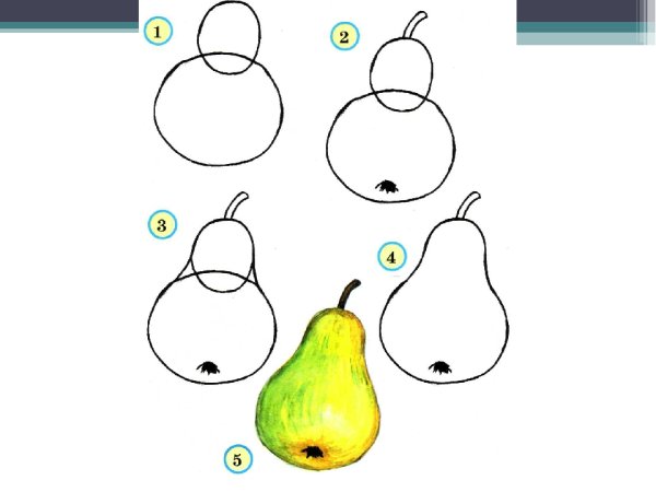 Поэтапное рисование овощей