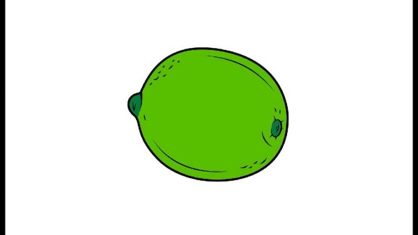 Как нарисовать лайм поэтапно