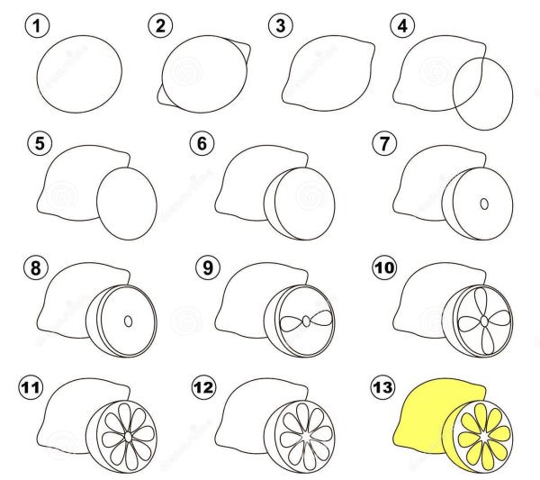 Как рисовать лимон поэтапно