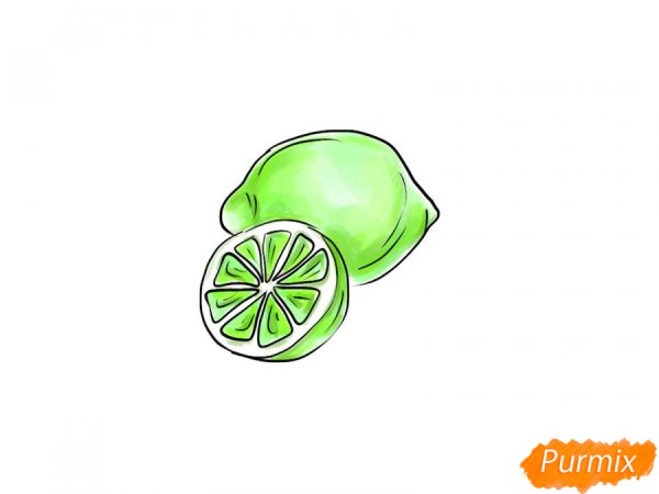 Как нарисовать лайм карандашом поэтапно