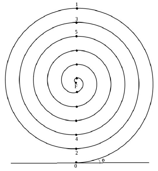 Спираль Архимеда золотое сечение