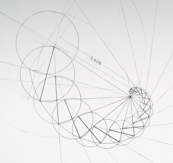Раскраска спираль портрет