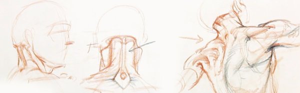 Рисование шеи