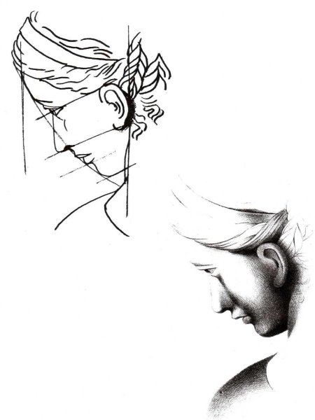 Затылок рисунок карандашом
