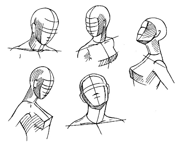Зарисовки поворота головы