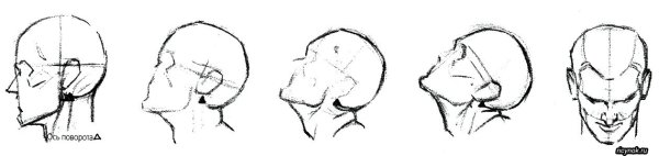 Задранная голова