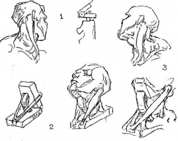 Раскадровка поворота головы