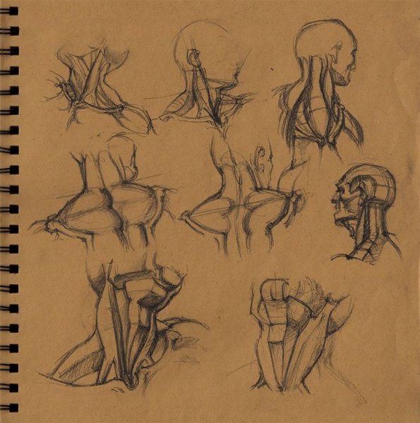 Позы человека в скетчбук