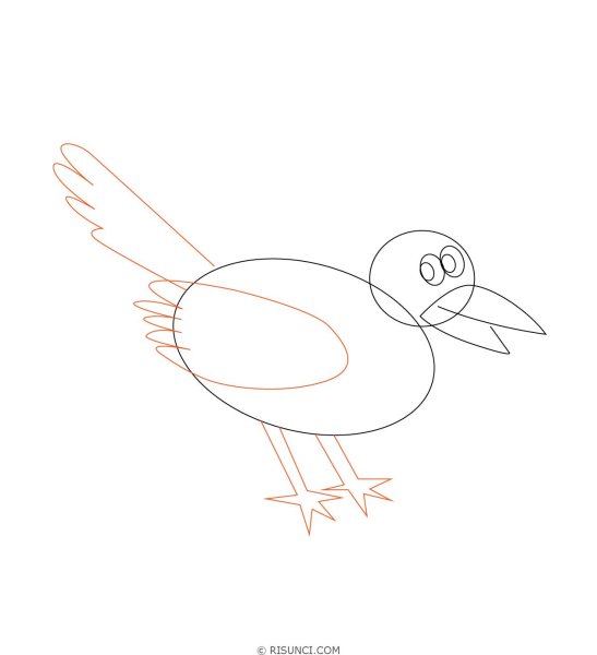 Сорока поэтапное рисование для детей