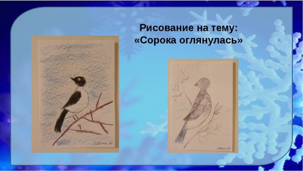 Сорока карандашом