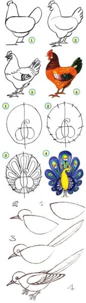 Поэтапное рисование вороны